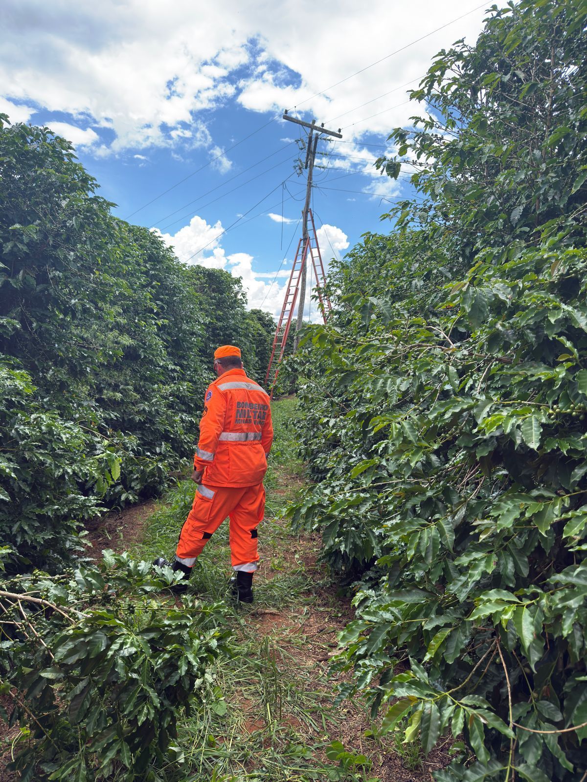 Técnico de internet morre eletrocutado em zona rural de Campos Gerais