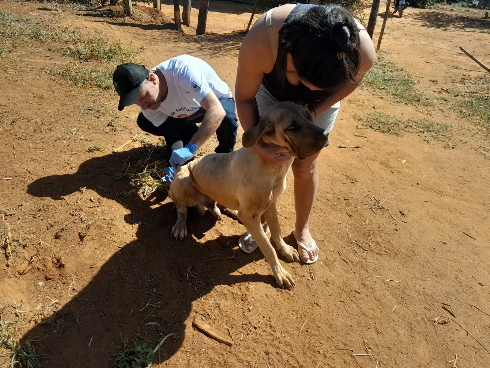 Campanha de vacinação contra a raiva chega à última etapa na zona rural de Varginha