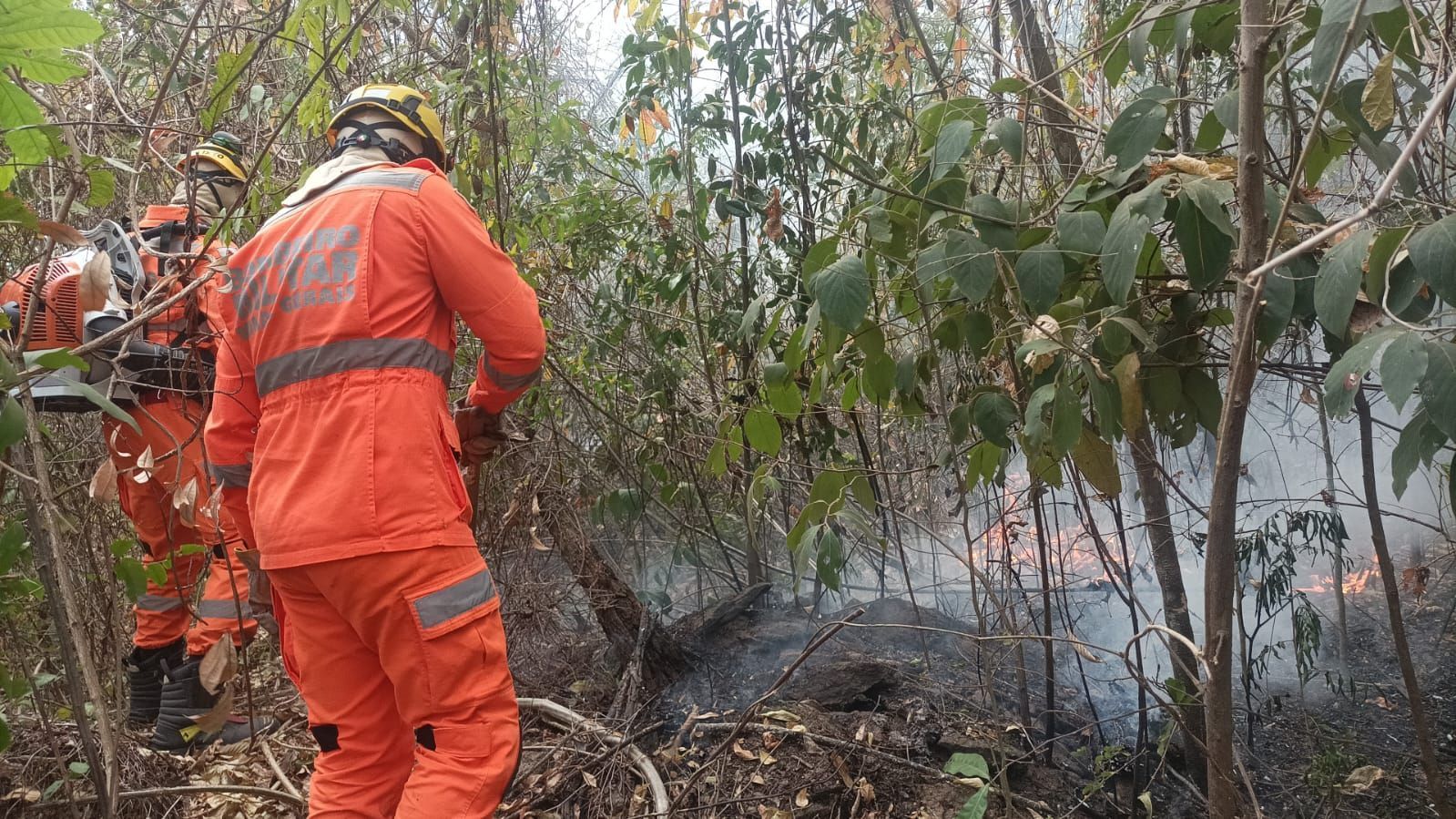 Corpo de Bombeiros controla incêndio em área rural de Campo do Meio