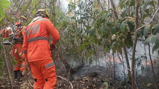 Militares utilizaram sopradores, mochilas costais e abafadores.
