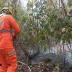 Corpo de Bombeiros controla incêndio em área rural de Campo do Meio