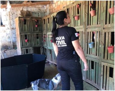 No local, a Polícia Civil encontrou diversos materiais relacionados à prática de rinhas de galo.