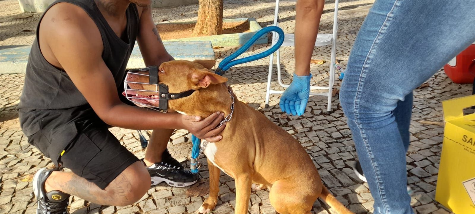 Vacinação contra a raiva é estendida em Varginha