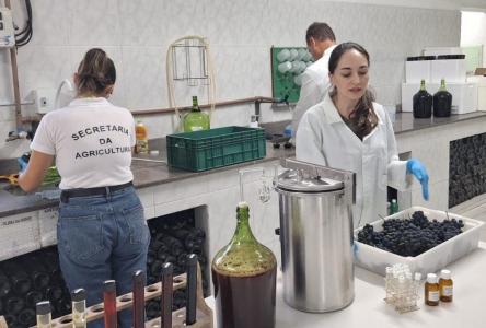 Banco com acevo de vinhos existe desde 2004