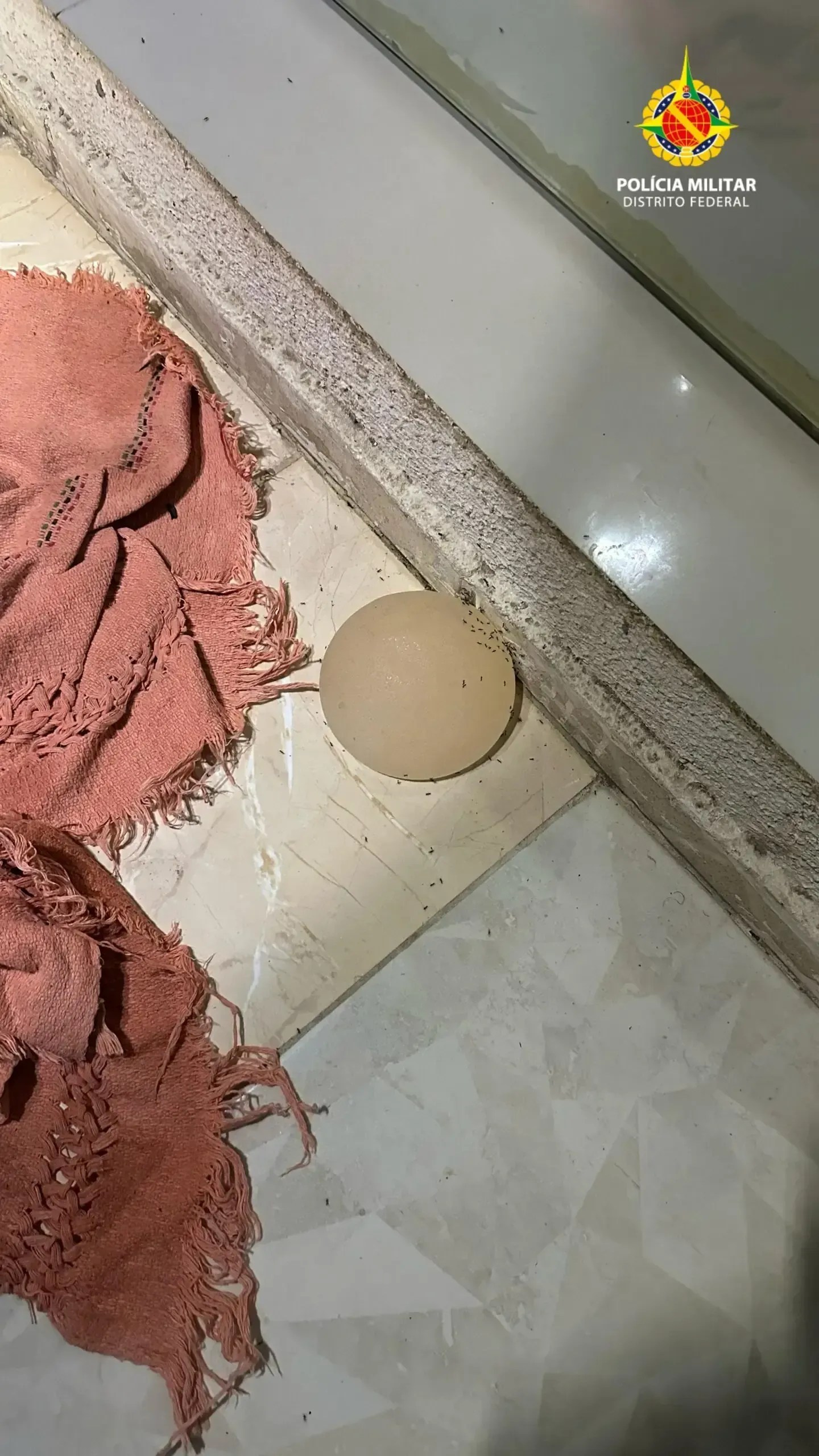 Homem é preso por suspeita de arrancar silicone da companheira com faca de cozinha no DF
