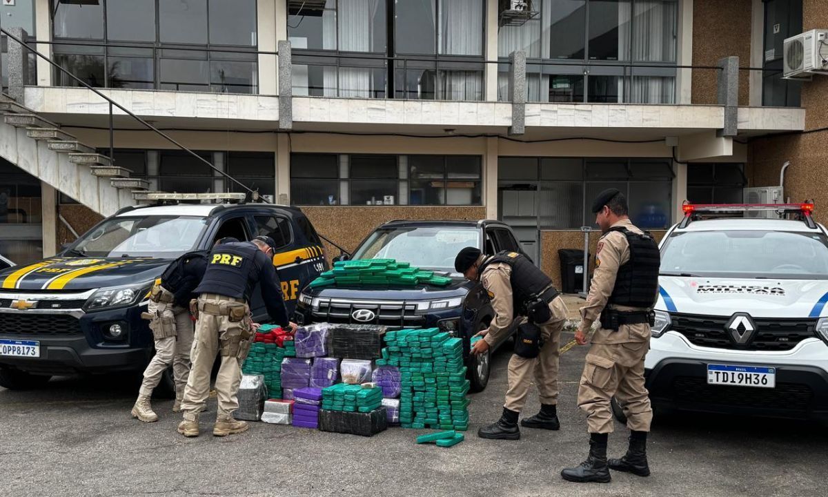 Ação integrada apreende mais de 320 kg de maconha na BR-267