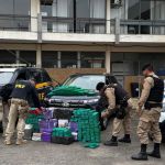 Ação integrada apreende mais de 320 kg de maconha na BR-267