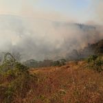 Incêndio atinge mata no entorno do Parque Estadual do Rio Doce
