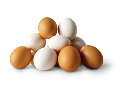 ovos ovo ovo branco ovo marrom
