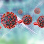 Três vírus que preocupam especialistas em 2026: H5N1, mpox e Oropouche