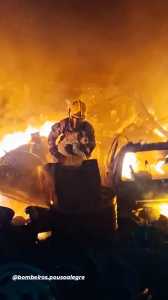 Cadela sobrevive a incêndio após resgate dos bombeiros em Pouso Alegre