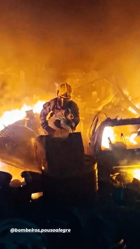 Cadela sobrevive a incêndio após resgate dos bombeiros em Pouso Alegre