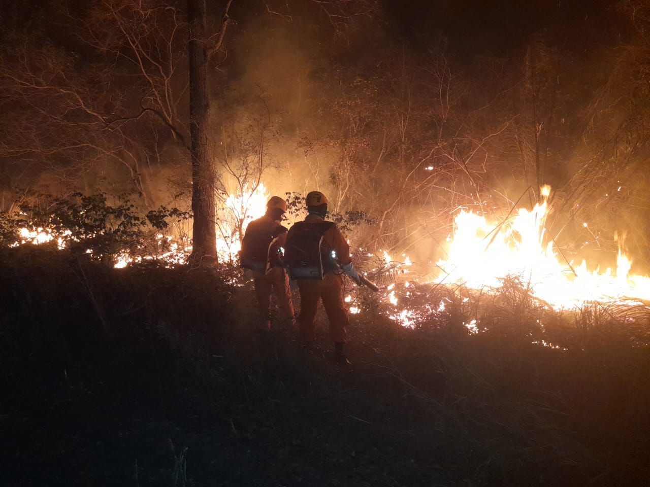 DPU cobra ações imediatas contra incêndios em terras indígenas no Mato Grosso