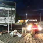 Carreta com mais de 600 mil maços de cigarro irregular é apreendida na Fernão Dias