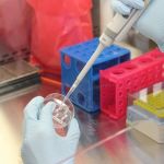 45 anos do “bebê de proveta”: conheça os avanços da fertilização in vitro