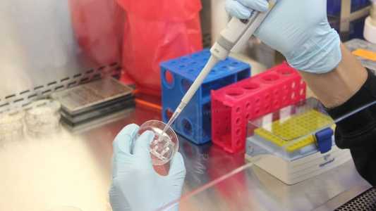 45 anos do “bebê de proveta”: conheça os avanços da fertilização in vitro.