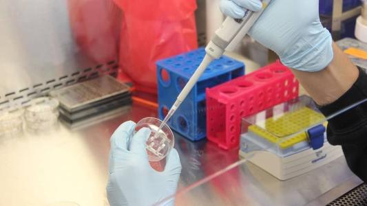 45 anos do “bebê de proveta”: conheça os avanços da fertilização in vitro.