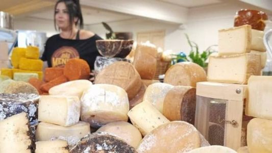 450 famílias produzem queijo cozido no norte e nordeste de Minas