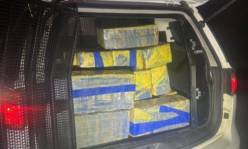 456 barras maconha muriae - Divulgação PMMG