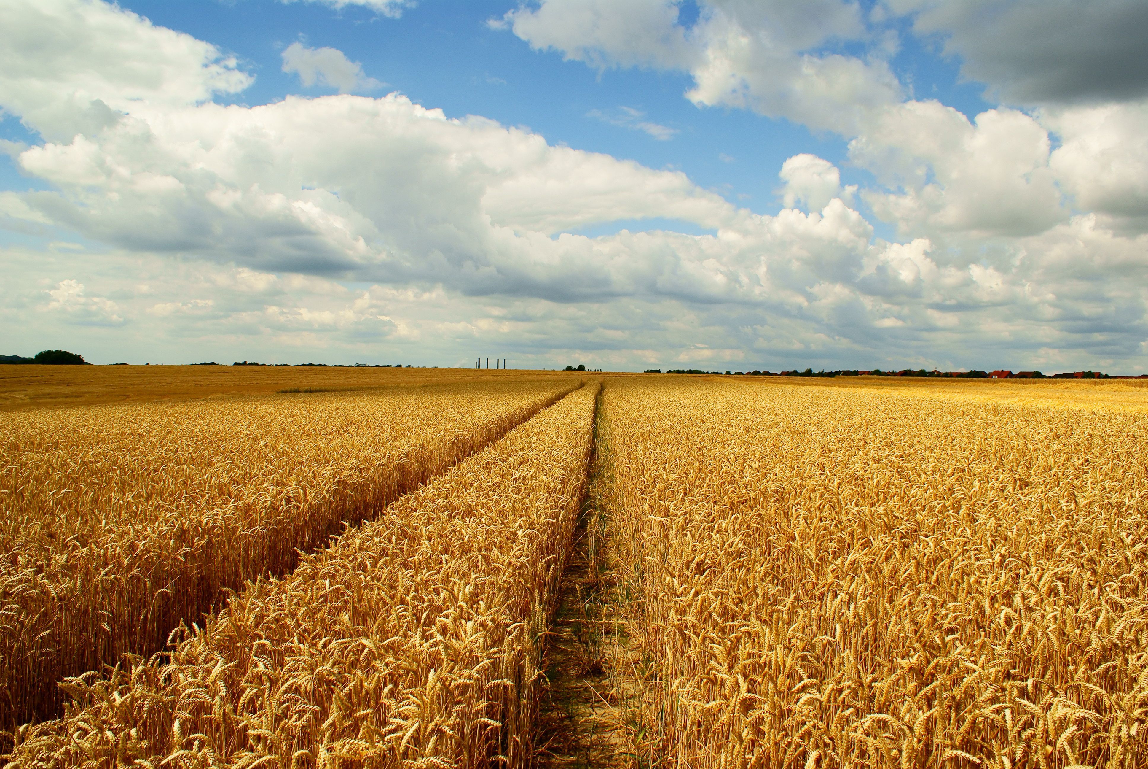 Conteúdos sobre o agro deverão integrar currículos das escolas