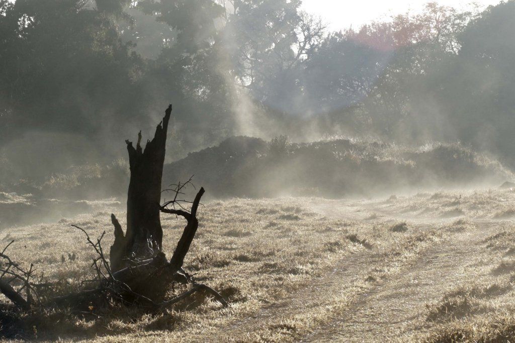 Onda de frio com risco à saúde pode atingir quase mil cidades do Brasil; veja lista