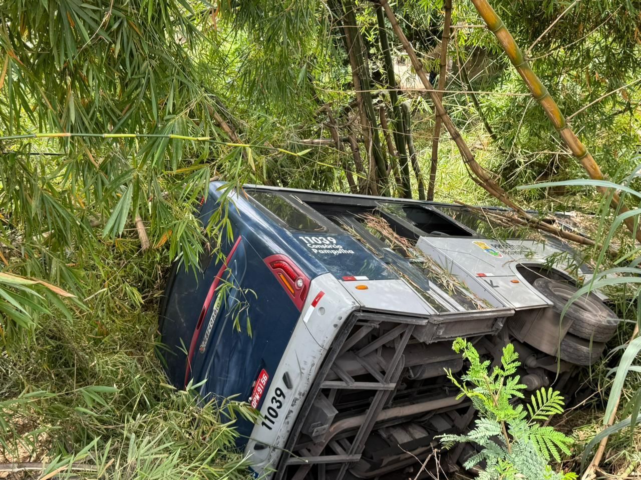 Ônibus cai em ribanceira e deixa uma pessoa ferida na região Norte de BH