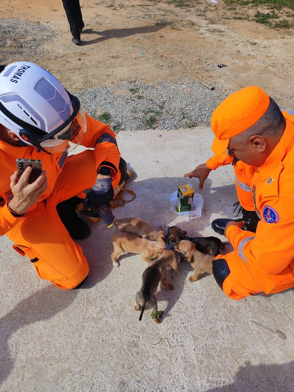 Cinco filhotes de cães jogados dentro de sacola em córrego são resgatados por Bombeiros