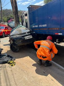 Veículo foi prensado por caminhão em árvore