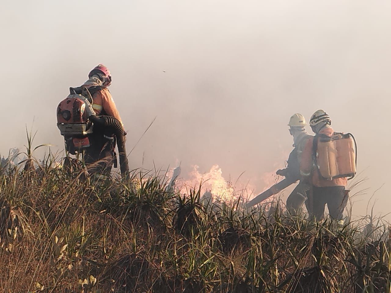 MG vive a pior crise de incêndios dos últimos anos, e bombeiros atendem 25 mil ocorrências só neste ano