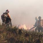 MG vive a pior crise de incêndios dos últimos anos, e bombeiros atendem 25 mil ocorrências só neste ano