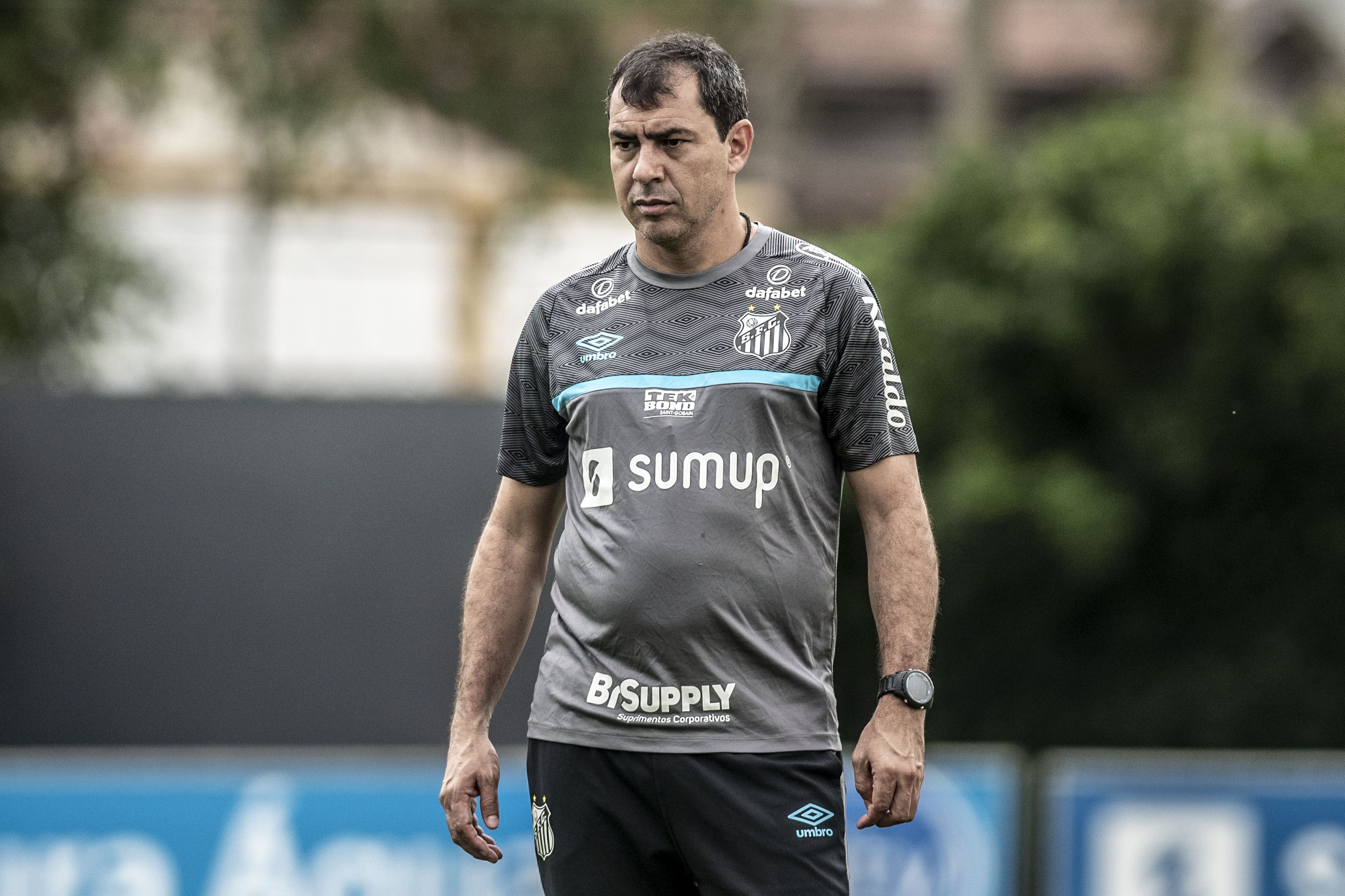 Vasco procura Fábio Carille, do Santos; veja o que pensa o treinador