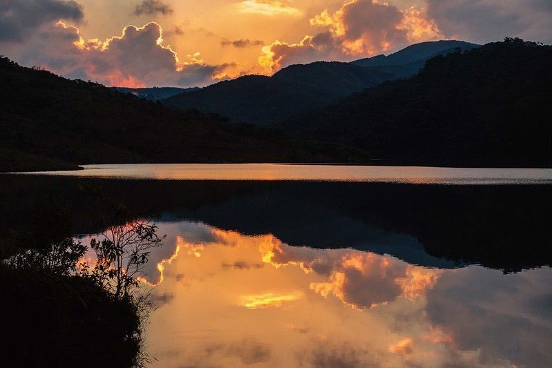 Minas Gerais se destaca na luta contra mudanças climáticas com ações inovadoras e ferramentas avançadas