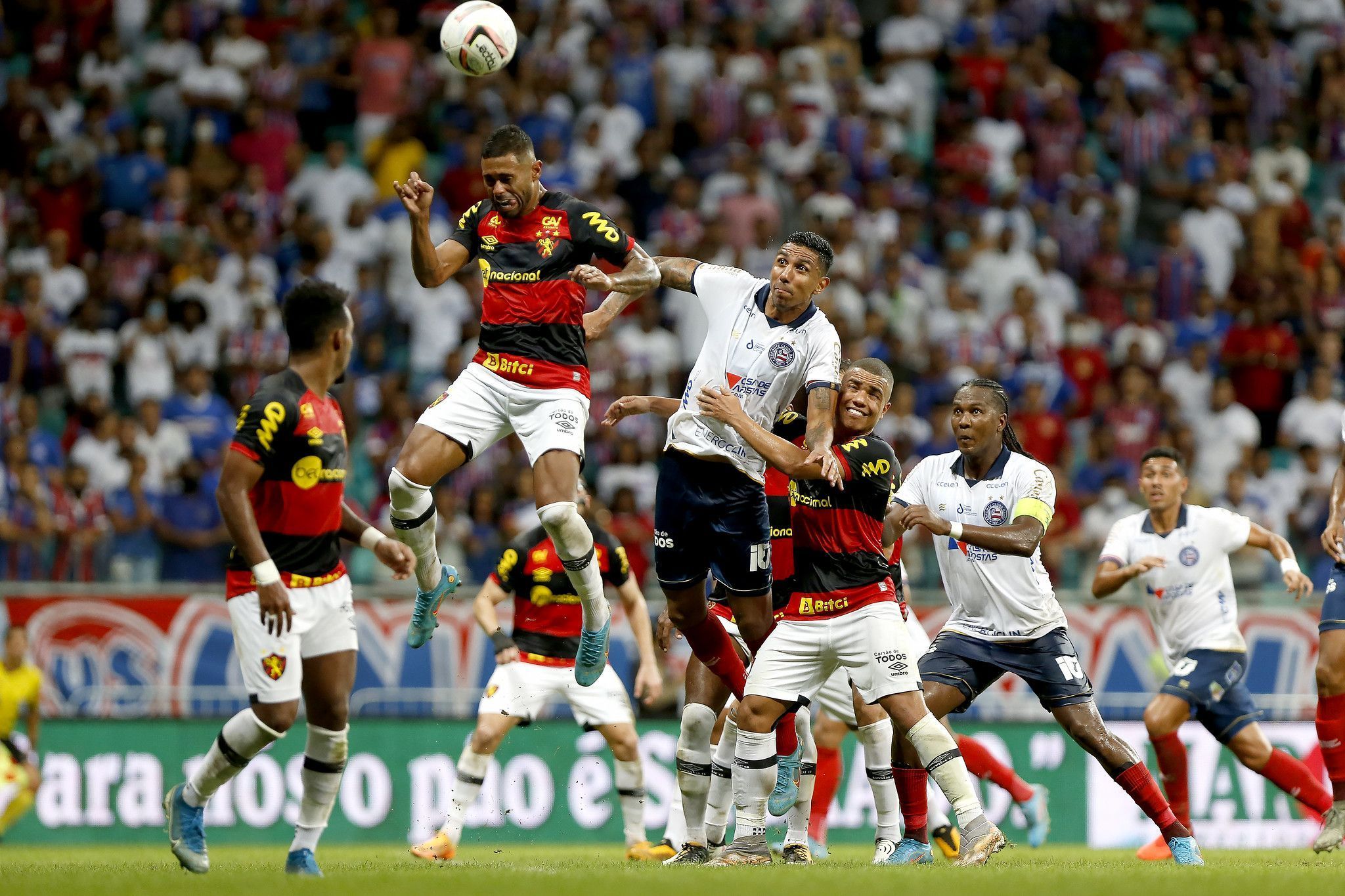 Bahia x Sport: Tricolor venceu mais vezes, mas histórico recente favorece o Leão