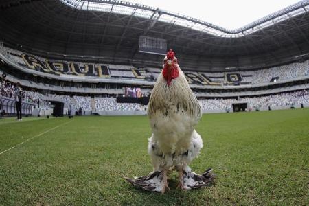 Galo Bastião na Arena MRV, estádio do Atlético