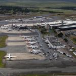 Cachorro invade pista, e aeroporto de Brasília precisa interromper pousos e decolagens