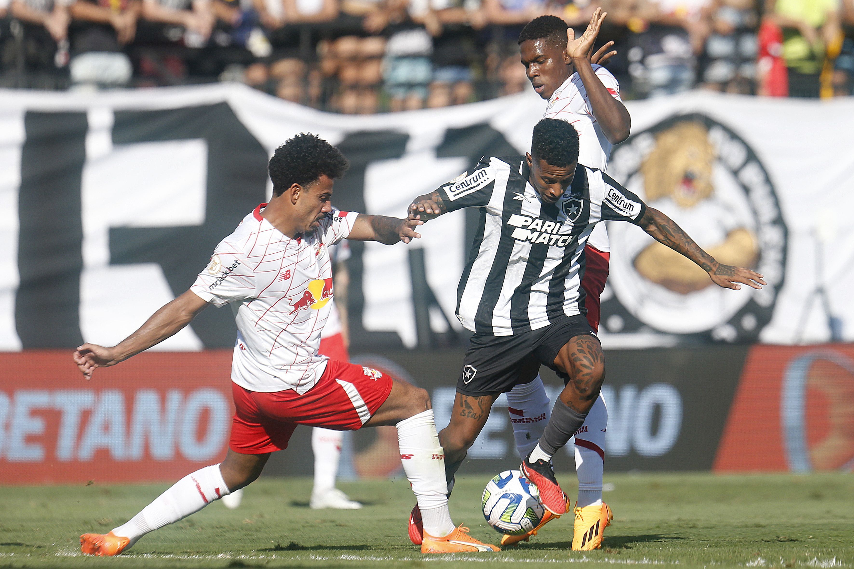 Botafogo x Bragantino: vaga na fase de grupos da Libertadores vale premiação milionária