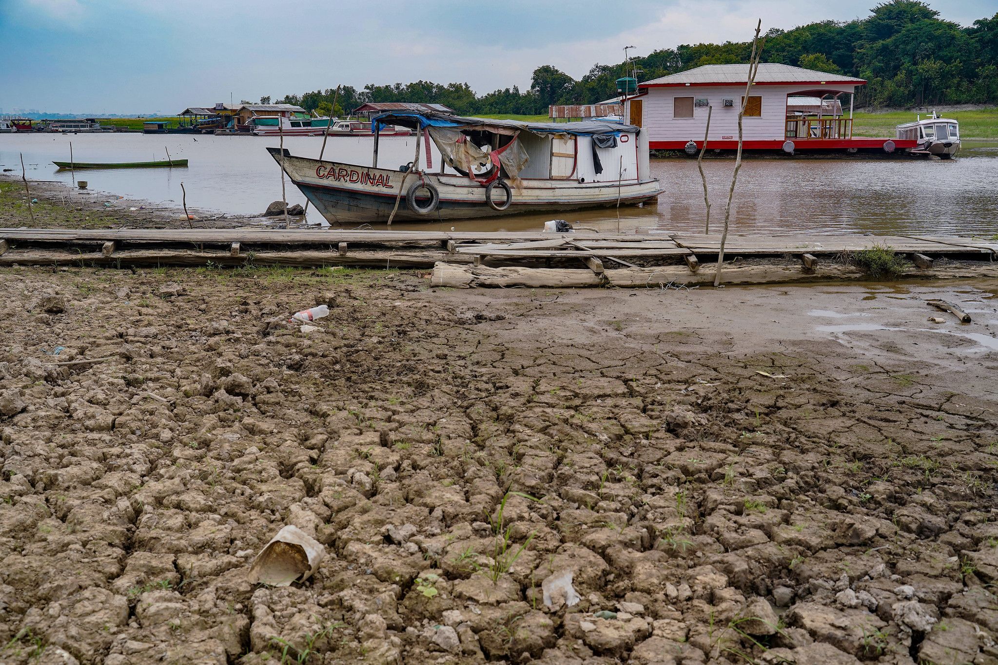 Sudeste, Nordeste, Norte e Centro-Oeste podem perder 40% da água disponível até 2040