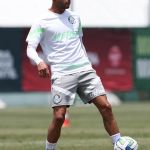 Palmeiras: Mayke projeta recorde de Brasileiros nos pontos corridos