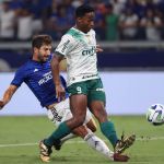 Seleção pode encurtar passagem de Endrick no Palmeiras em 2024