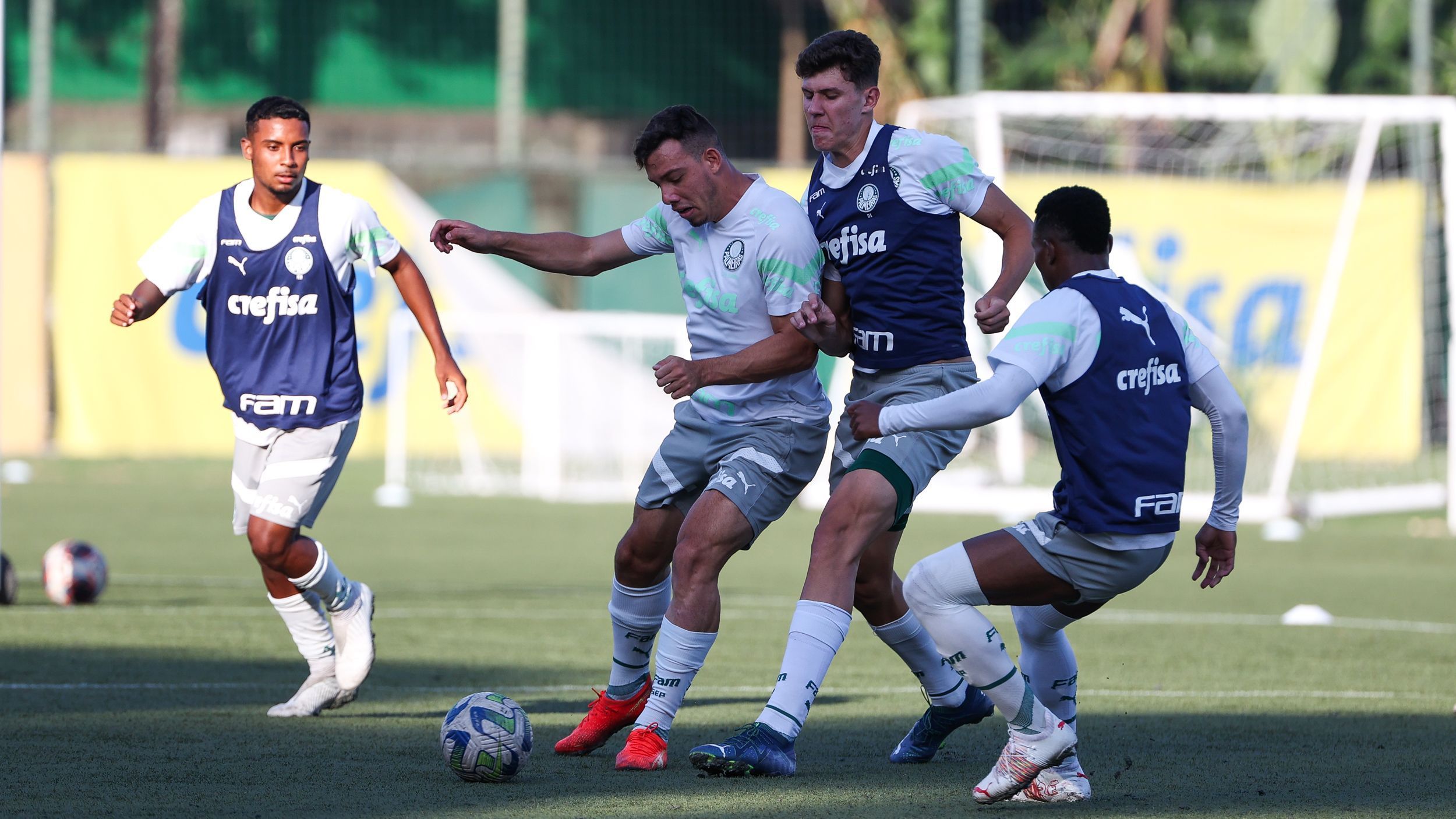 Palmeiras divulga lista de inscritos para a Copinha