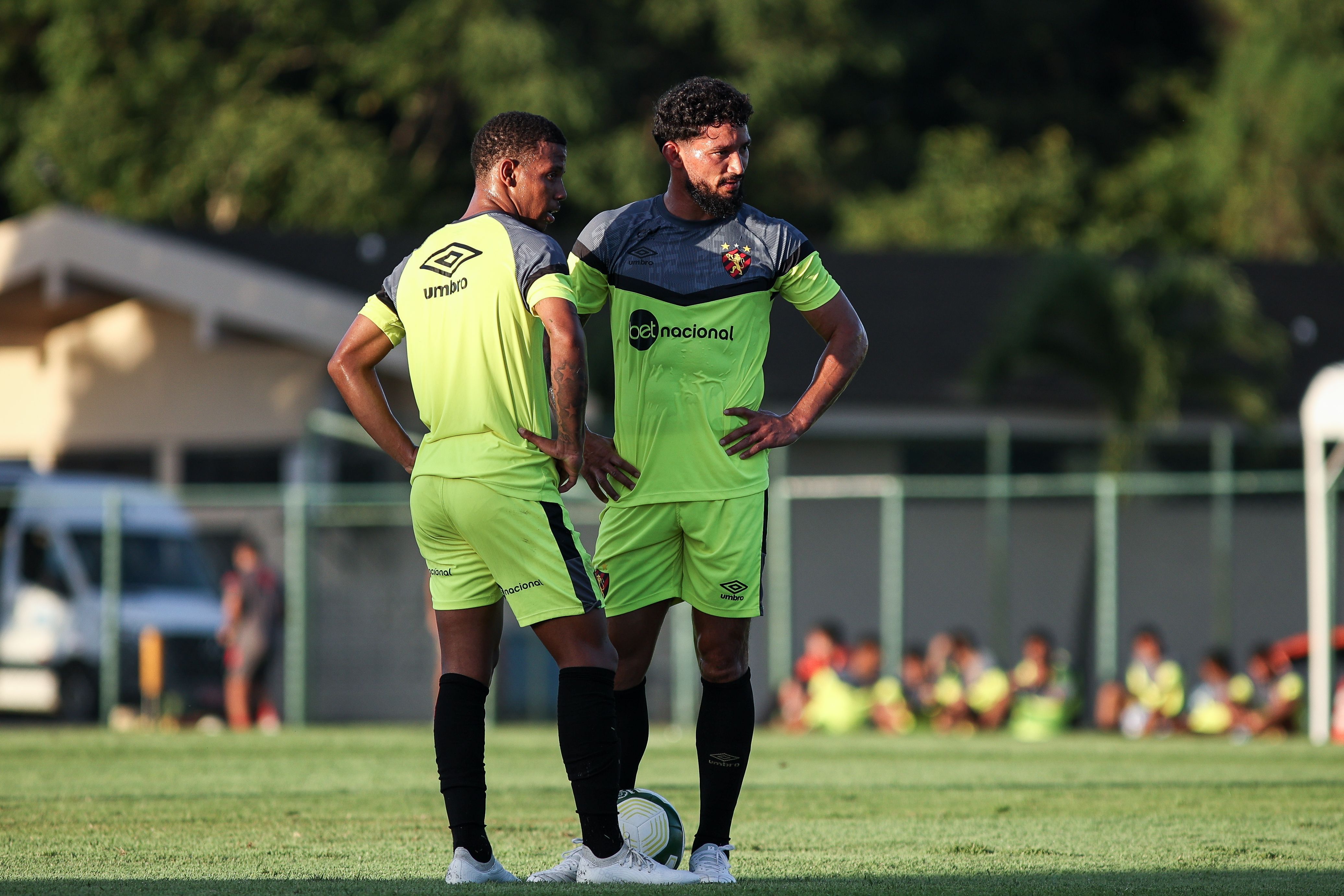 Sport x Petrolina: horário e onde assistir ao vivo pelo Campeonato Pernambucano