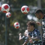 Botafogo tem DM zerado e dois jogadores em treinos específicos na pré-temporada