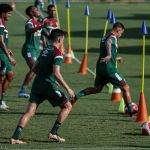 Volta Redonda x Fluminense: horário e onde assistir ao vivo pelo Campeonato Carioca