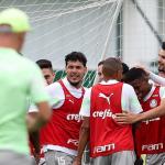 Palmeiras retoma treinos e mantém foco no trabalho: ‘Somos time cascudo’