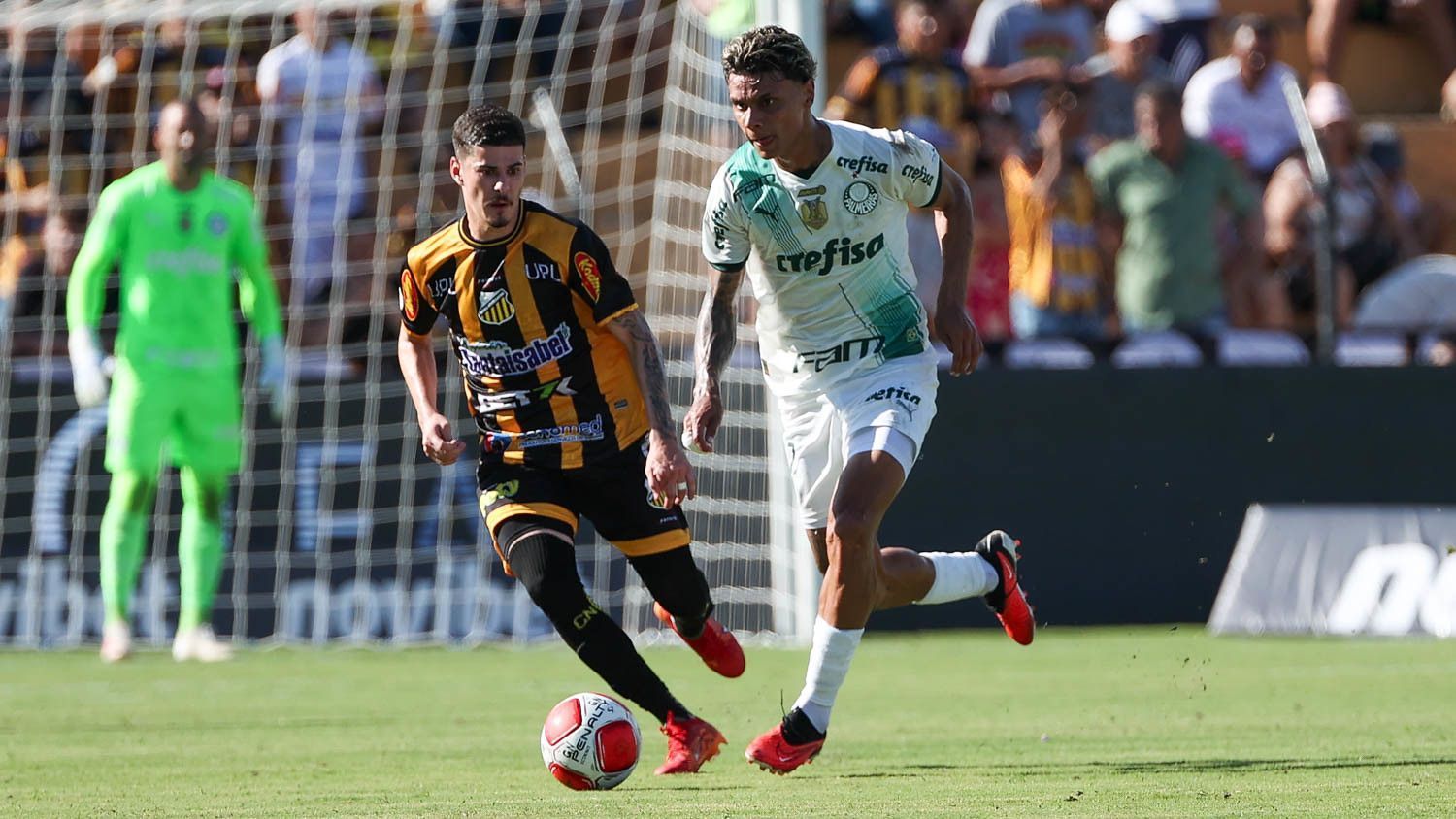 Meia do Novorizontino realiza exames e fica perto de ser reforço do Palmeiras