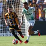 Meia do Novorizontino realiza exames e fica perto de ser reforço do Palmeiras