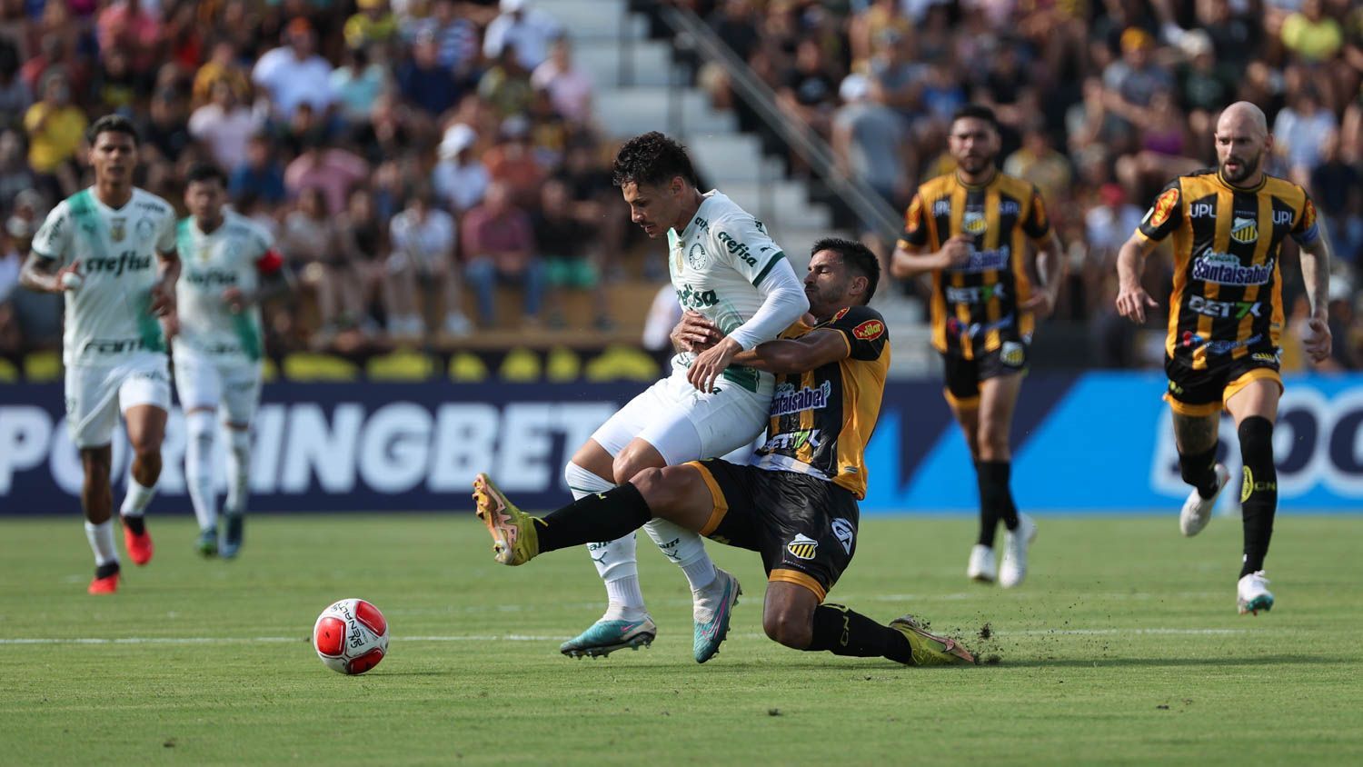 Palmeiras sofre gol no fim e empata com o Novorizontino pelo Paulistão