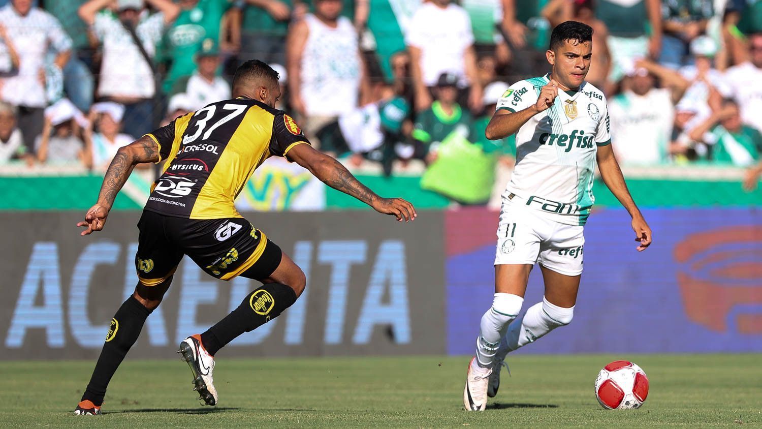 Abel Ferreira confirma Palmeiras com Bruno Rodrigues para encarar Inter de Limeira; veja escalações