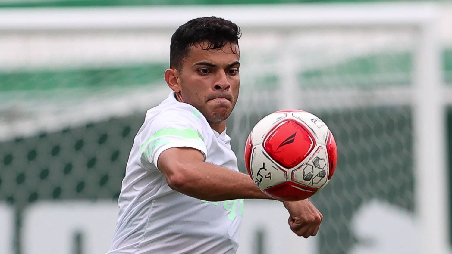 Ex-Cruzeiro, Bruno Rodrigues sofre grave lesão no Palmeiras e passará por cirurgia