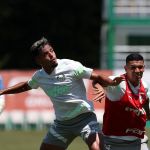 Palmeiras deve poupar titulares contra Bragantino; veja possíveis escalações